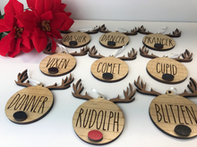 Load image into Gallery viewer, Rudolph &amp; His Gang of Reindeer Christmas Ornaments ~ 9 Ornies ~ Too Cute

